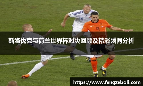 斯洛伐克与荷兰世界杯对决回顾及精彩瞬间分析