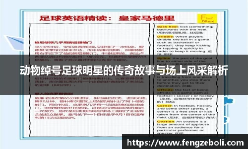动物绰号足球明星的传奇故事与场上风采解析
