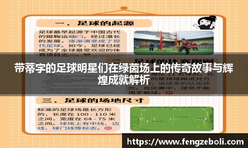 带蒂字的足球明星们在绿茵场上的传奇故事与辉煌成就解析